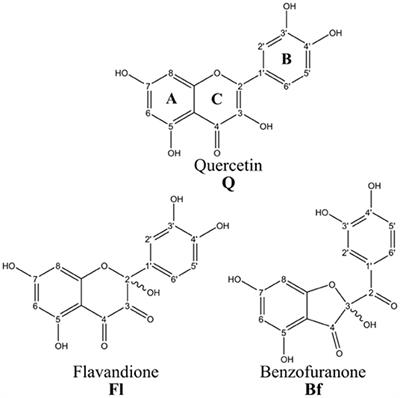 Theoretical Study of the Antioxidant Activity of Quercetin Oxidation Products